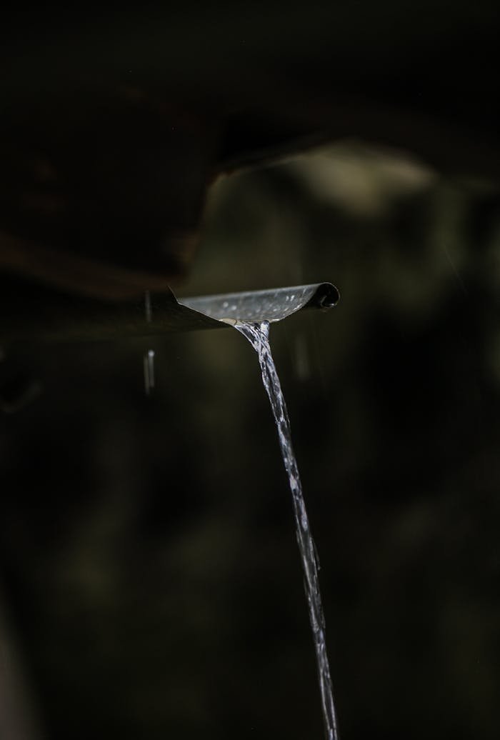 Close-up of rainwater pouring from a gutter, capturing the essence of nature